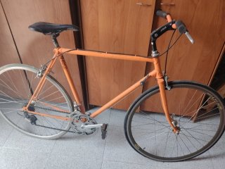 Bicicleta de Carretera Naranja