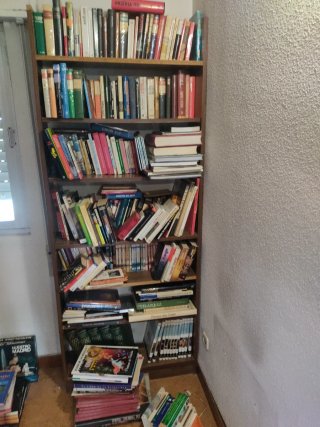 Lote de + 200 libros