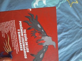 Lote libros pokemon