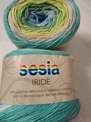 2 Gomitoli Cotone Biologico Sesia Iride
