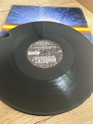 Vinilo Danger Zone - Catwoman