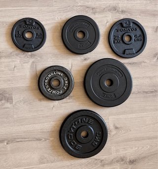 Lote de 6 Discos de Pesas para Musculación