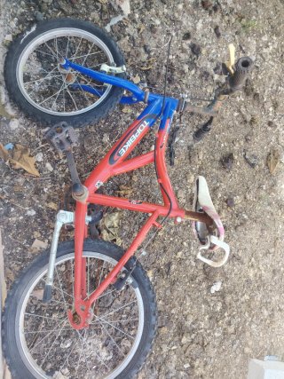 Bicicleta Infantil Topbike