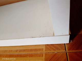 Estantería blanca de madera oferta