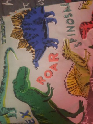 REGALO COrtinas y funda Nordica  Dinosaurios