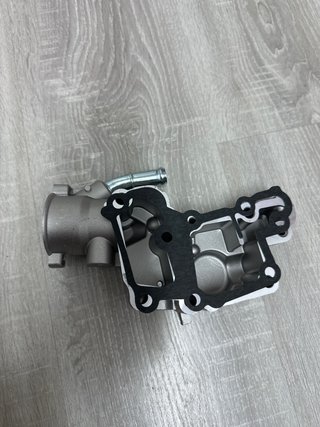 Tapa Bomba de Agua Peugeot 207