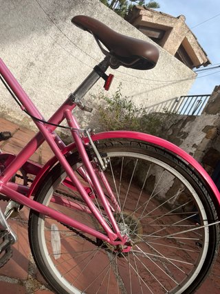 Bicicleta Rosa Niña/Mujer