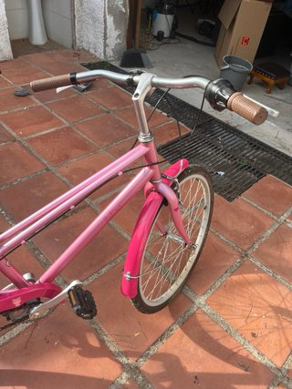 Bicicleta Rosa Niña/Mujer