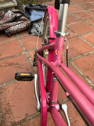 Bicicleta Rosa Niña/Mujer