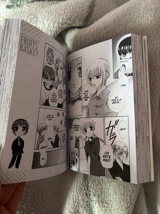 Fruits Basket