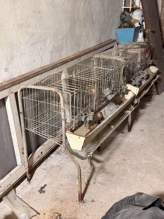 2 Jaulas para gallinas ponedoras.