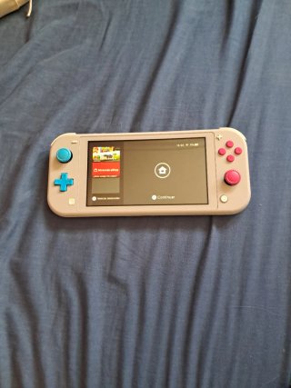 Nintendo Switch Lite
