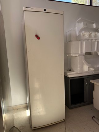 Frigorífico Vertical Liebherr Premium NoFrost