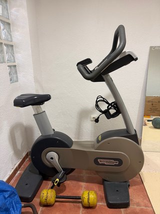 URGE POR MUDANZA Bicicleta Estática Technogym