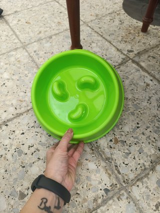 Ciotola anti-voracità verde Plastic Forte - nuova