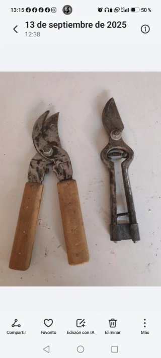 Set di 2 Forbici da Potatura