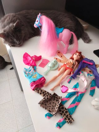 Lote de pony, muñeca y accesorios