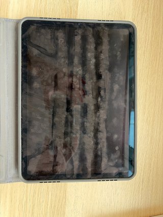 iPad Air 5ª Gen Wi-Fi + Cellular 64GB, con custodia