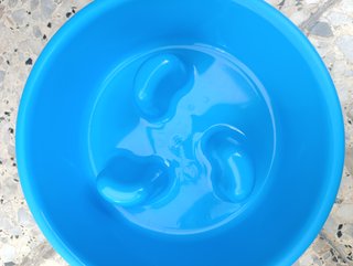 Ciotola lenta blu Plastic Forte - nuova