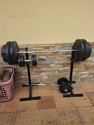 Juego de pesas y barras de gimnasio
