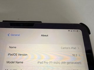iPad Pro 256GB Plata + Apple pencil