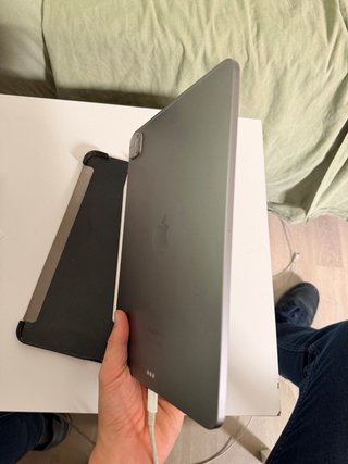 iPad Pro 256GB Plata + Apple pencil