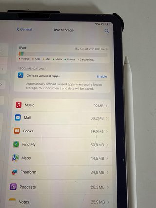 iPad Pro 256GB Plata + Apple pencil