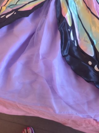 Disfraz Mariposa Lila y Multicolor