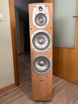 Pareja Altavoces Columna Infinity