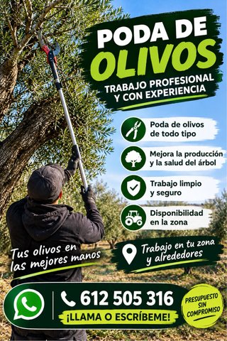 Poda de olivos