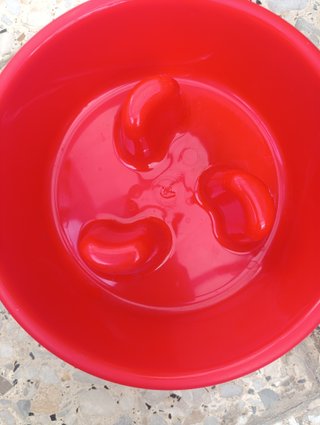 Ciotola lenta rossa Plastic Forte - nuova