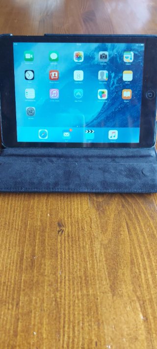 Apple iPad Mini Plata