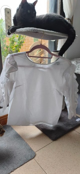 Camisa blanca con volantes