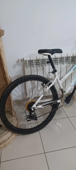 Bicicleta de Montaña Topbike