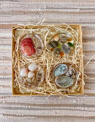 Set de 4 Imanes Decorativos con Conchas