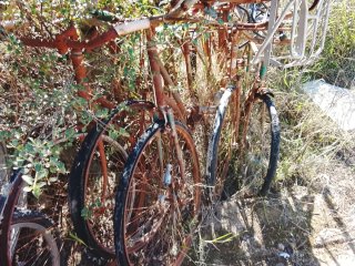 Lote 10 bicicletas de varilla antiguas