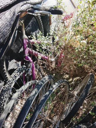 Lote 10 bicicletas de varilla antiguas