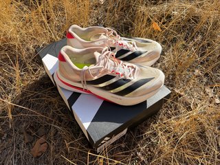 Adidas Adizero Boston 13