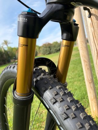 Orbea Oiz LTD M