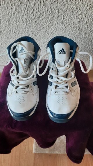 Zapatillas Adidas Blancas y Azules