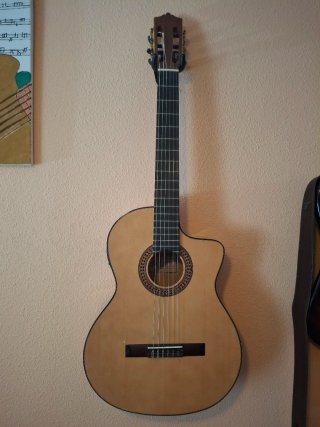 Guitarra Española Electrificada