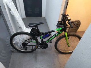 Bicicleta Denbike