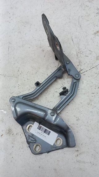 860744 BISAGRA CAPO DERECHA VOLKSWAGEN TOUAREG (7LA)