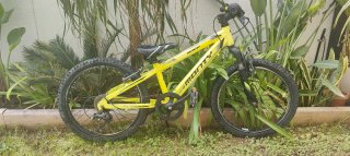 Bicicleta de Montaña Monty 20 pulgadas