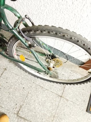 Bicicleta verde con estrellas