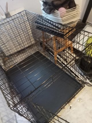 Jaula para perro grande XL