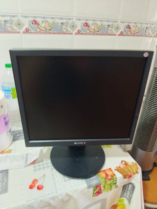 Monitor Sony da 17 pollici