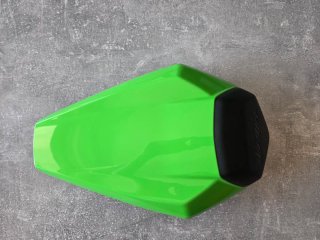 Tapa de Colín Kawasaki ZX10r Verde