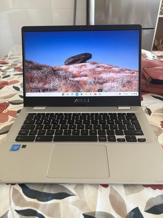 Portátil Asus Chromebook C423N