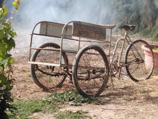 Bicicleta de reparto antigua JURADO